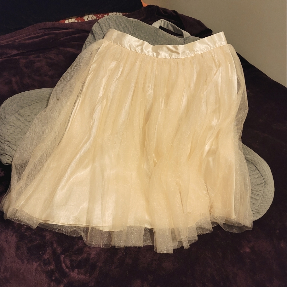 Satin + Tulle💕{Sequin Hearts}💕Skirt, Size L